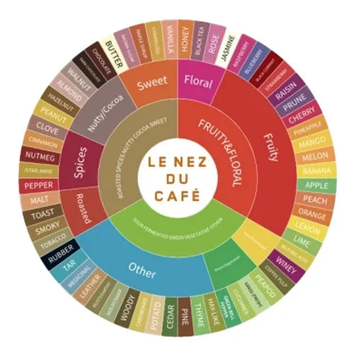 Le NeZ Du Cafe Aroma Wheel