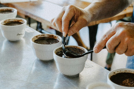 How to Taste Coffee Like a Roaster (Without Being Pretentious)