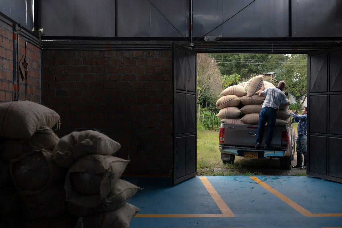 A dark warehouse interior with stacked burlap sacks in the foreground, an open doorway, and a person loading or unloading a large stack of sacks from the back of a pickup truck outside.