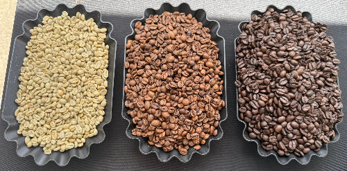 Three black scalloped trays filled with coffee beans in different roast levels, arranged side by side on a dark surface.